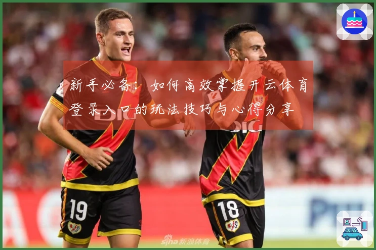 新手必备：如何高效掌握开云体育登录入口的玩法技巧与心得分享