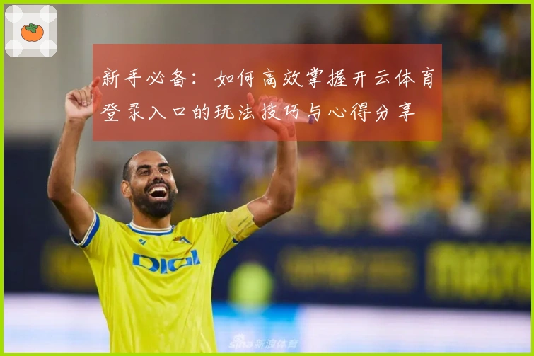 新手必备：如何高效掌握开云体育登录入口的玩法技巧与心得分享